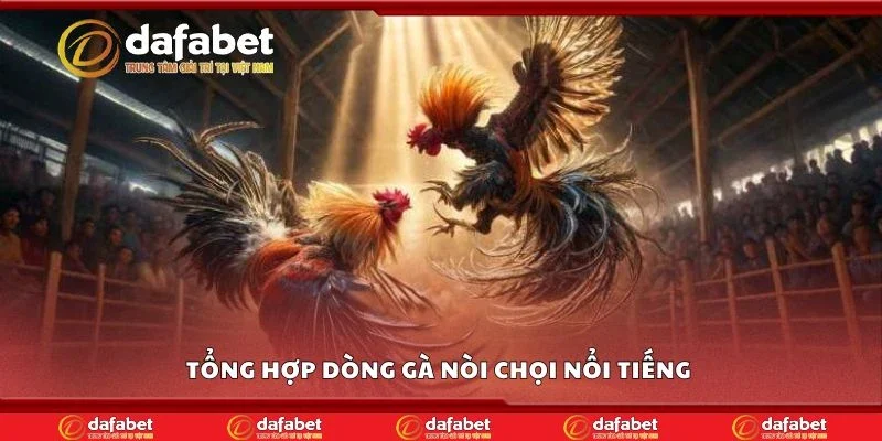 Tổng hợp dòng gà nòi chọi nổi tiếng 