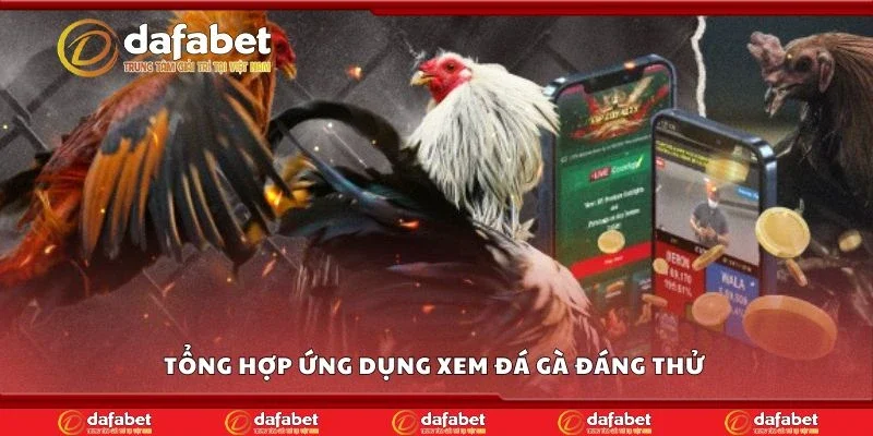 Tổng hợp ứng dụng xem đá gà đáng thử 