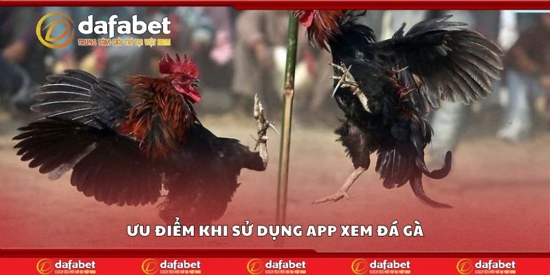 Ưu điểm khi sử dụng app xem đá gà