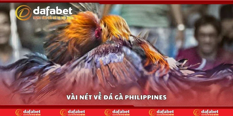 Vài nét về đá gà Philippines