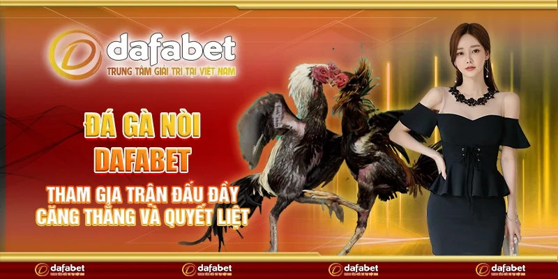 Đá gà nòi Dafabet - Tham gia trận đấu đầy căng thẳng và quyết liệt